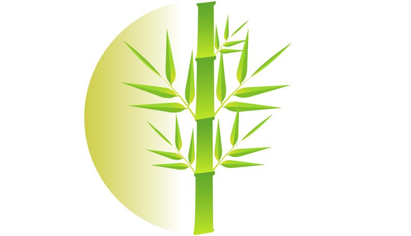 95% Bamboo/5% Spandex